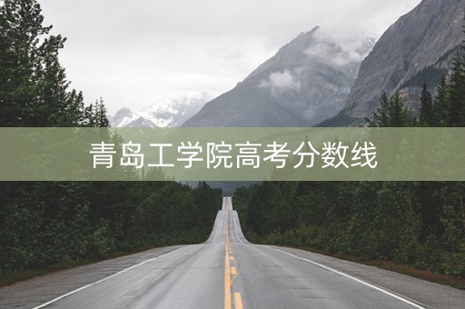 青岛工学院高考分数线