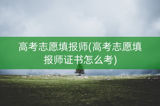 高考志愿填报师(高考志愿填报师证书怎么考)