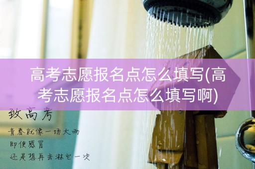 高考志愿报名点怎么填写(高考志愿报名点怎么填写啊)