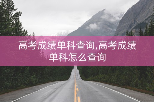 高考成绩单科查询,高考成绩单科怎么查询