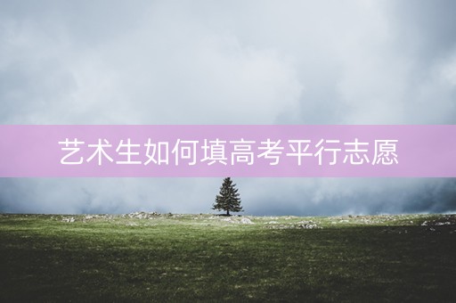 艺术生如何填高考平行志愿