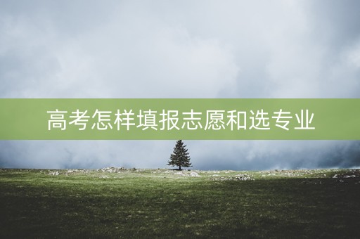 高考怎样填报志愿和选专业