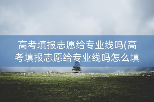 高考填报志愿给专业线吗(高考填报志愿给专业线吗怎么填)