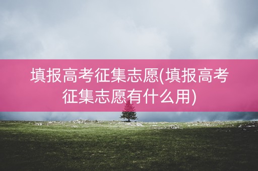 填报高考征集志愿(填报高考征集志愿有什么用)
