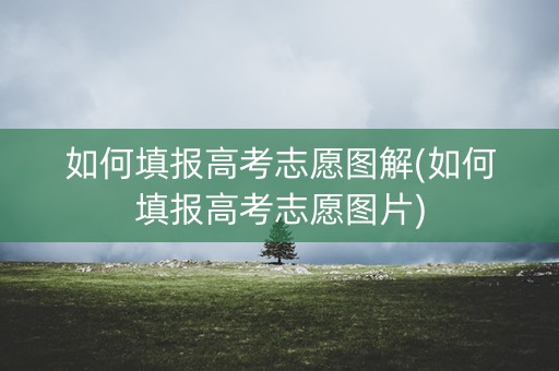 如何填报高考志愿图解(如何填报高考志愿图片)