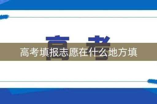 高考填报志愿在什么地方填