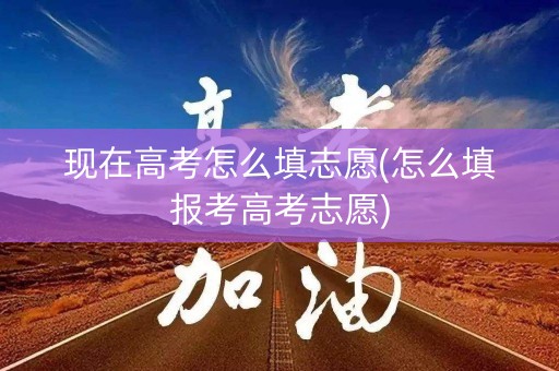 现在高考怎么填志愿(怎么填报考高考志愿)