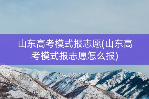 山东高考模式报志愿(山东高考模式报志愿怎么报)