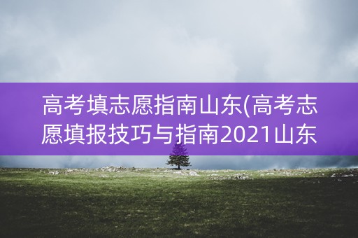 高考填志愿指南山东(高考志愿填报技巧与指南2021山东)