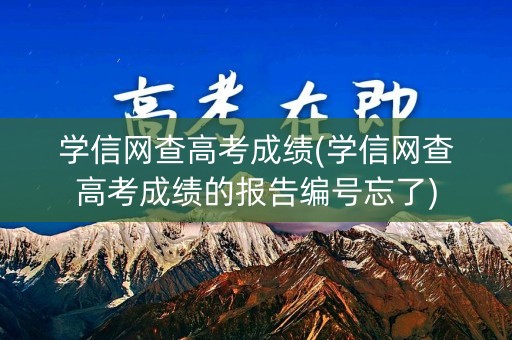学信网查高考成绩(学信网查高考成绩的报告编号忘了)