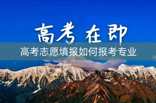 高考志愿填报如何报考专业