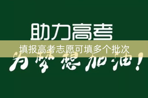 填报高考志愿可填多个批次