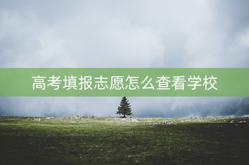 高考填报志愿怎么查看学校