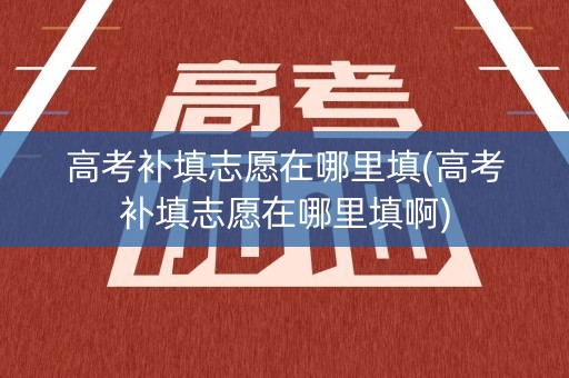 高考补填志愿在哪里填(高考补填志愿在哪里填啊)