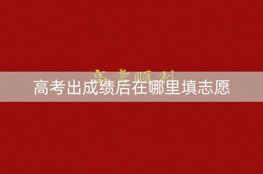 高考出成绩后在哪里填志愿