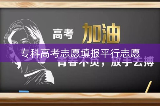专科高考志愿填报平行志愿