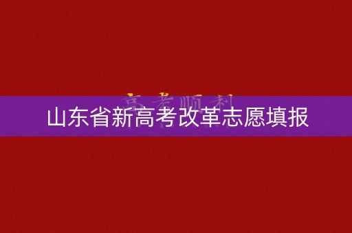 山东省新高考改革志愿填报