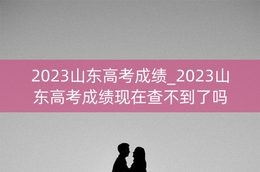 2023山东高考成绩_2023山东高考成绩现在查不到了吗