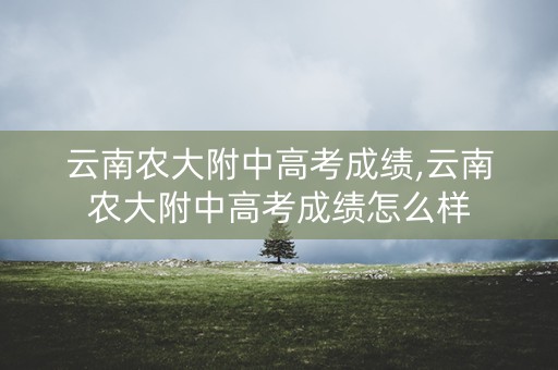云南农大附中高考成绩,云南农大附中高考成绩怎么样