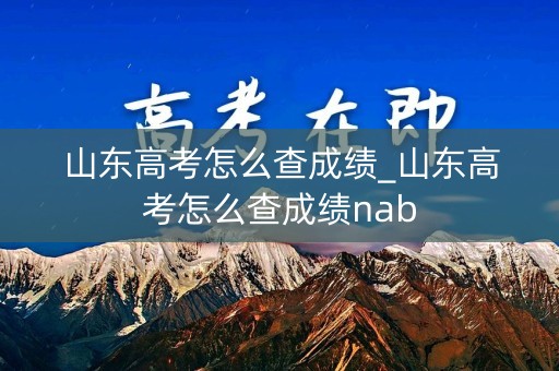 山东高考怎么查成绩_山东高考怎么查成绩nab