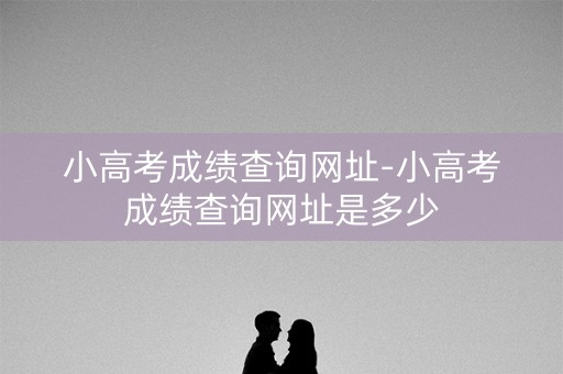 小高考成绩查询网址-小高考成绩查询网址是多少