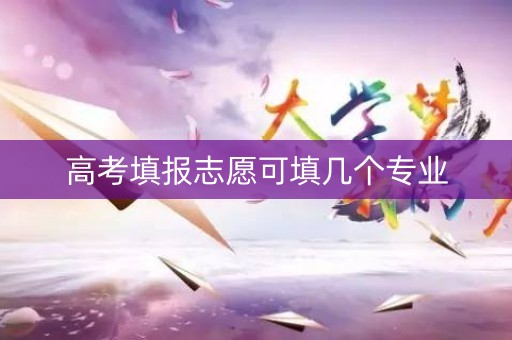 高考填报志愿可填几个专业
