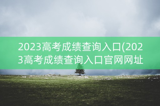 2023高考成绩查询入口(2023高考成绩查询入口官网网址)