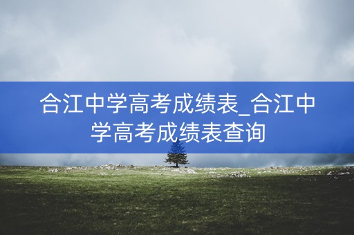 合江中学高考成绩表_合江中学高考成绩表查询