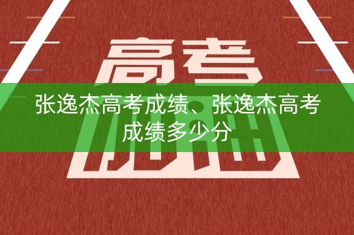 张逸杰高考成绩、张逸杰高考成绩多少分