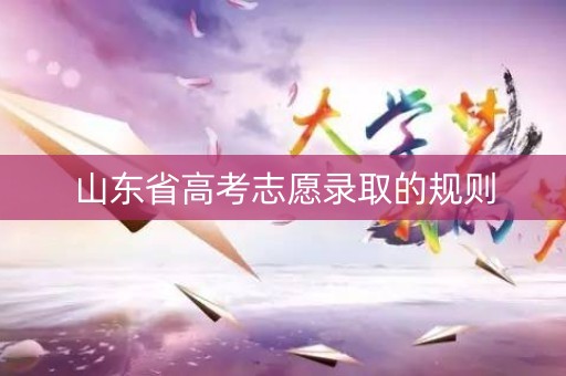 山东省高考志愿录取的规则