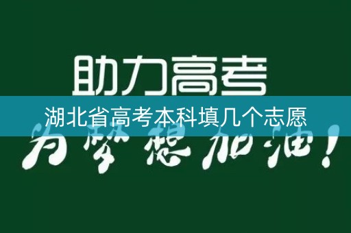 湖北省高考本科填几个志愿