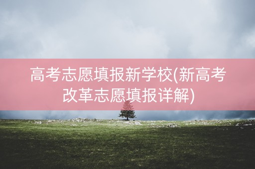 高考志愿填报新学校(新高考改革志愿填报详解)