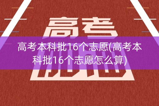 高考本科批16个志愿(高考本科批16个志愿怎么算)