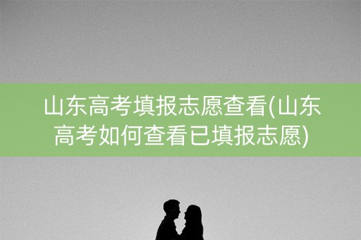 山东高考填报志愿查看(山东高考如何查看已填报志愿)