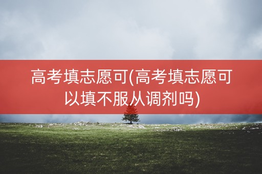 高考填志愿可(高考填志愿可以填不服从调剂吗)
