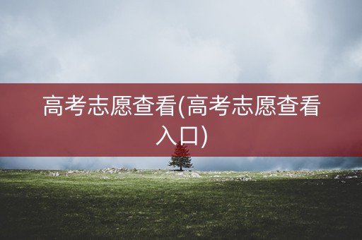 高考志愿查看(高考志愿查看入口)