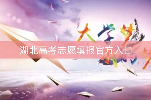 湖北高考志愿填报官方入口