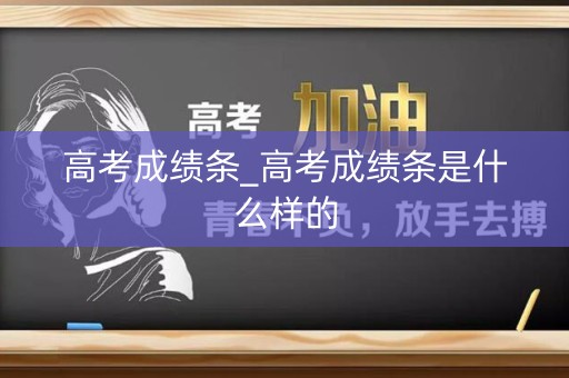 高考成绩条_高考成绩条是什么样的