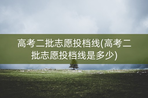 高考二批志愿投档线(高考二批志愿投档线是多少)