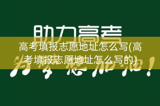 高考填报志愿地址怎么写(高考填报志愿地址怎么写的)