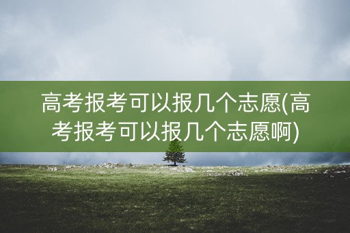 高考报考可以报几个志愿(高考报考可以报几个志愿啊)