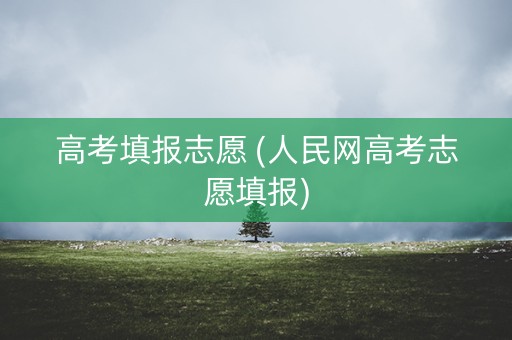 高考填报志愿 (人民网高考志愿填报)