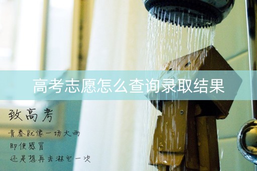 高考志愿怎么查询录取结果