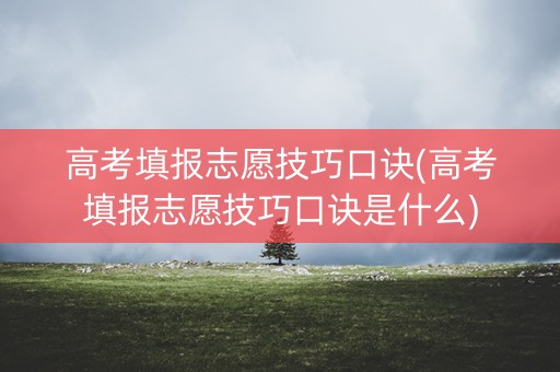 高考填报志愿技巧口诀(高考填报志愿技巧口诀是什么)