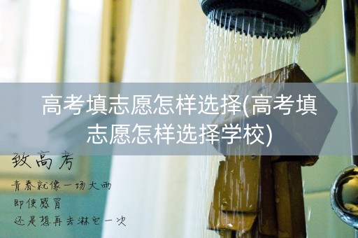 高考填志愿怎样选择(高考填志愿怎样选择学校)