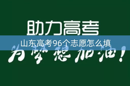 山东高考96个志愿怎么填
