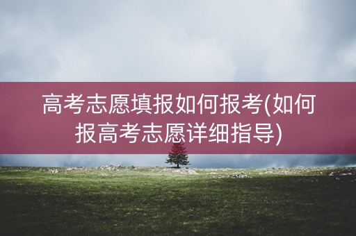 高考志愿填报如何报考(如何报高考志愿详细指导)