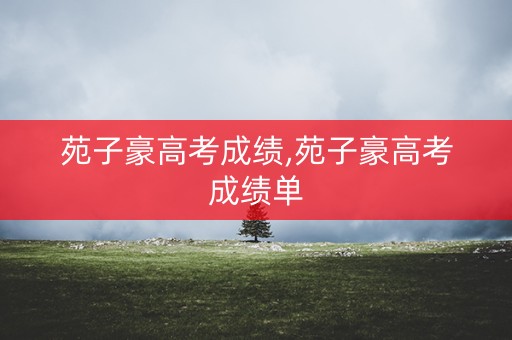 苑子豪高考成绩,苑子豪高考成绩单