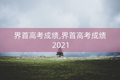 界首高考成绩,界首高考成绩2021