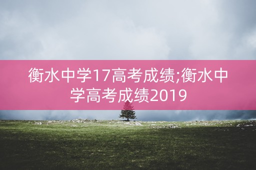 衡水中学17高考成绩;衡水中学高考成绩2019